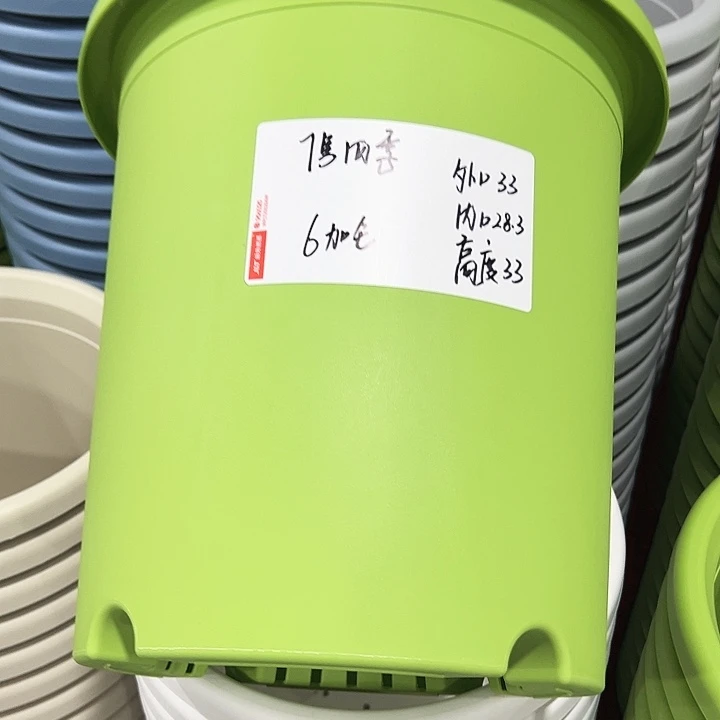 正品7号四季口33高33果绿无托6只