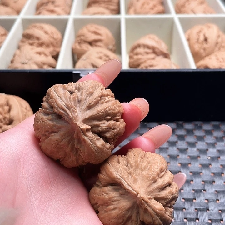 Z***k霸王龙核桃尺寸41