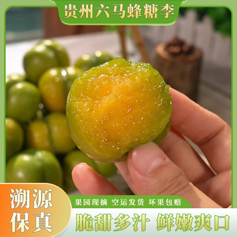 【顺丰空运】贵州六马蜂糖李新鲜应季果园现摘现发脆甜爽口2斤起