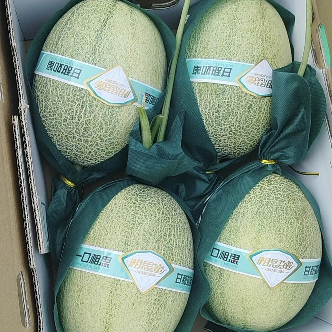 相思蜜 海南海沙地哈密瓜 2颗分装/4颗原箱装 酥脆香甜