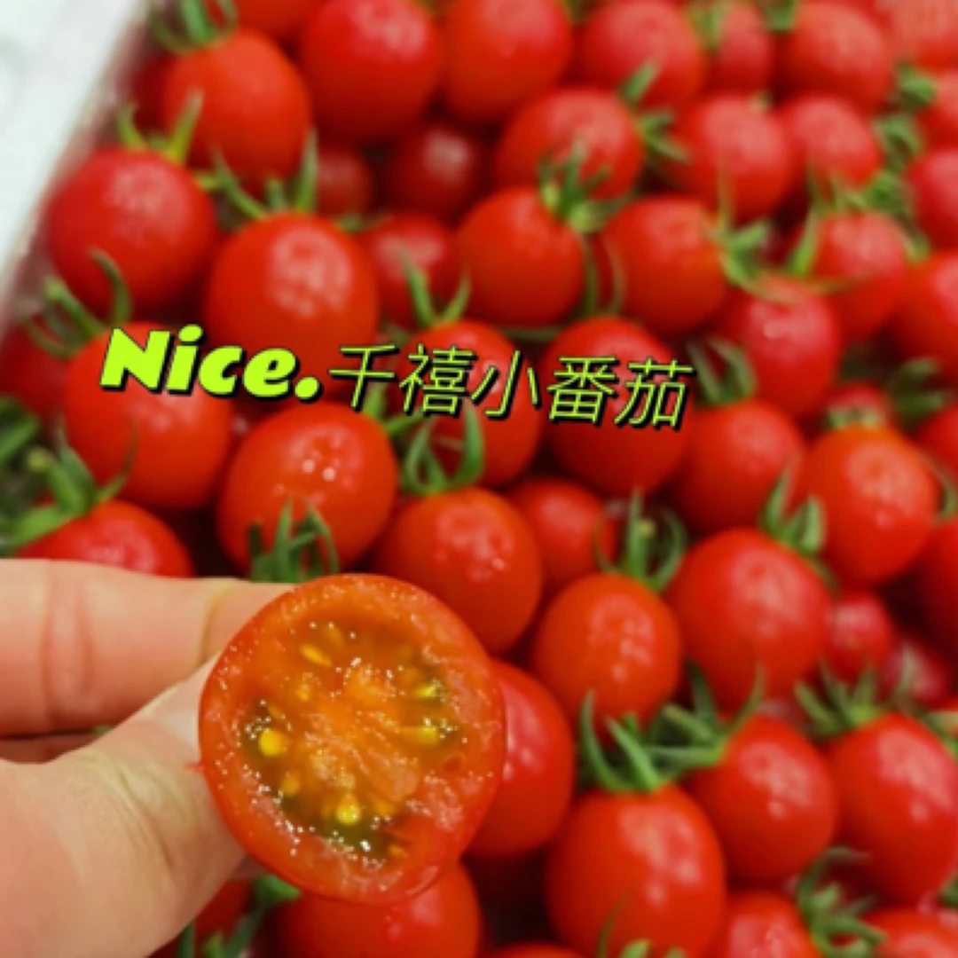 【富贵专属】海南千玺净重2公斤顺丰包邮到家新鲜海南省