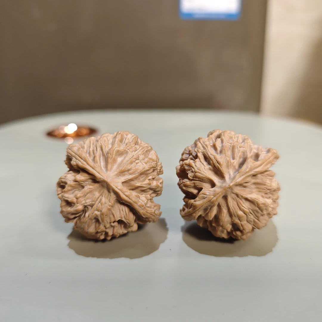 s级苹果园 尺寸40