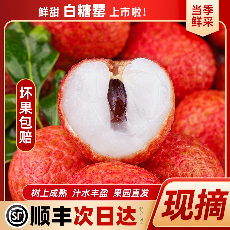 【3斤装高州白糖罂荔枝】精选大果顺丰次日达新鲜荔枝纯甜不泡水发货荔枝同城送