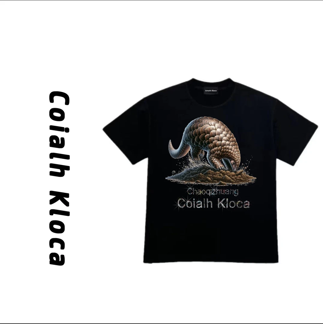 【烫钻-印花双工艺】新款纯棉上衣男士宽松透气短袖夏季圆领舒适T恤