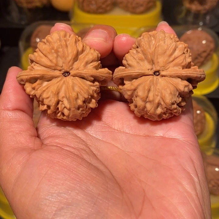 核桃文玩核桃44尺官帽