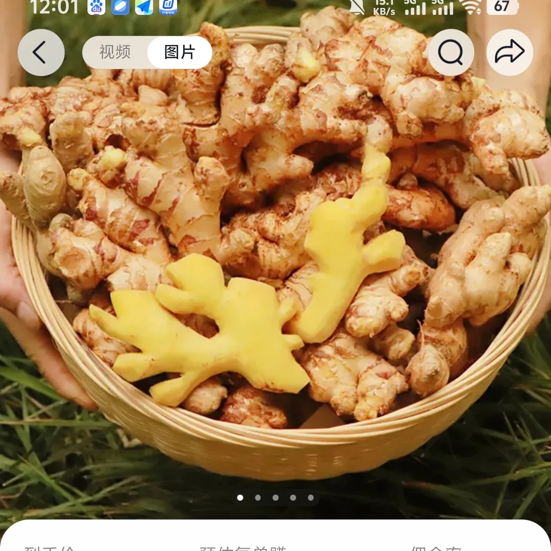 （马想专用）新鲜现挖小黄姜老姜嫩姜香辣十足