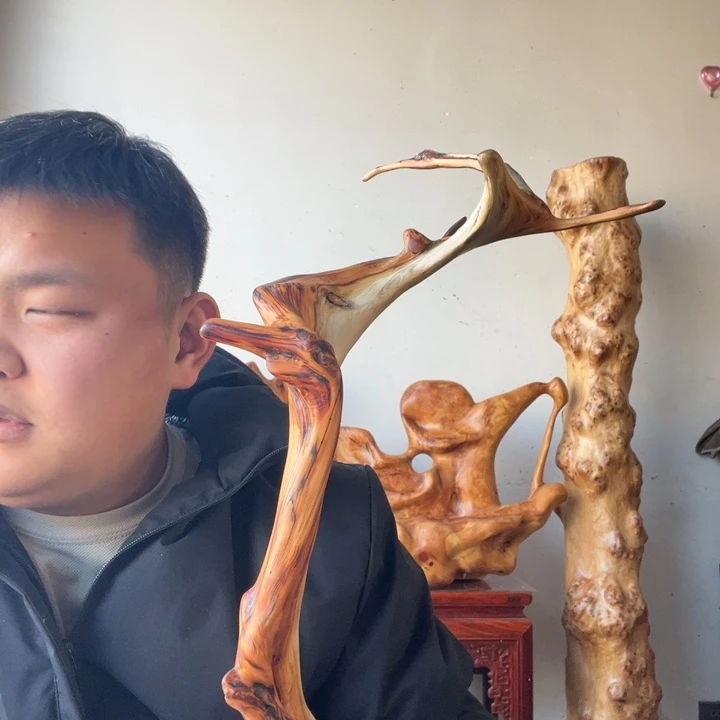 X***望柏木（崖柏）太行崖柏摆件