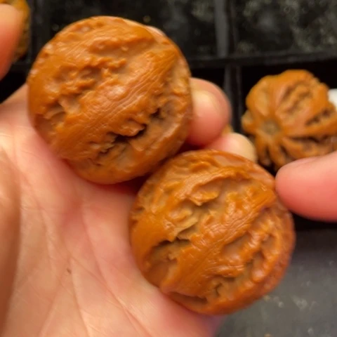 文玩核桃把件秦岭山脉的