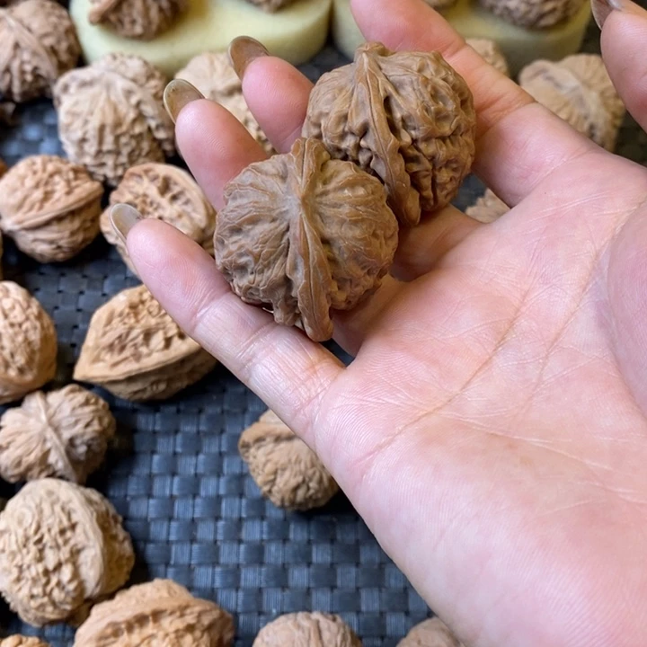 志高尔夫高尔夫高尔夫