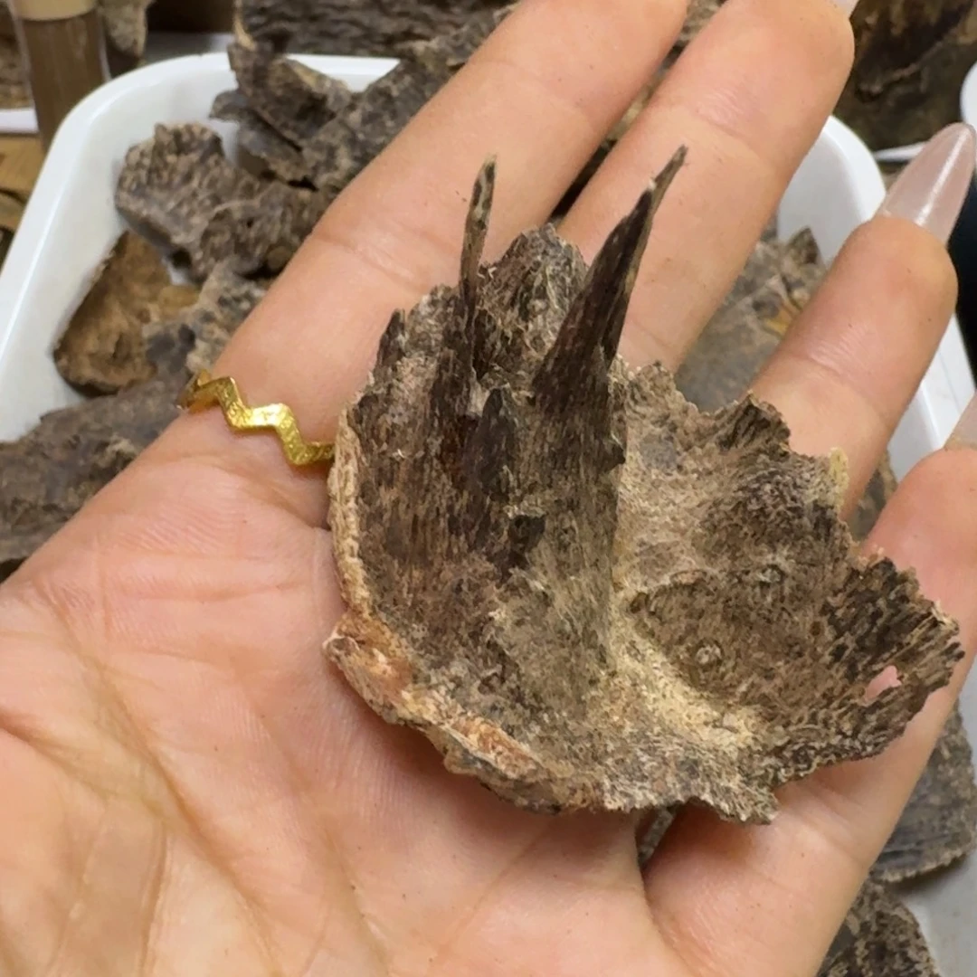 u***0沉香沉香碎屑国香沉香港香吊齿4.6克