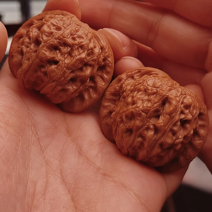 核桃40尺血麒麟核桃