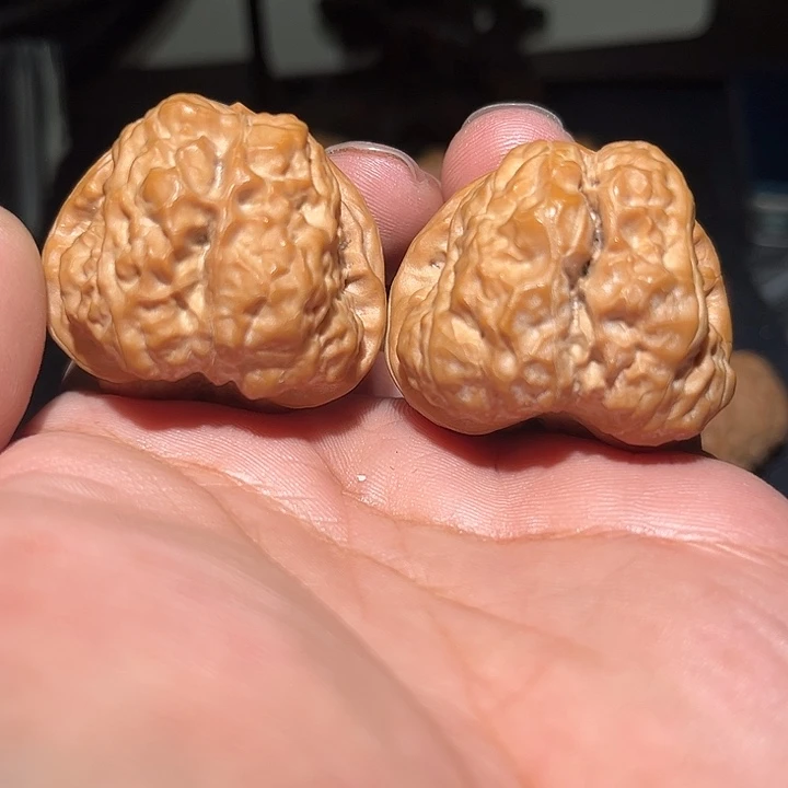 木40精品蛤蟆头。