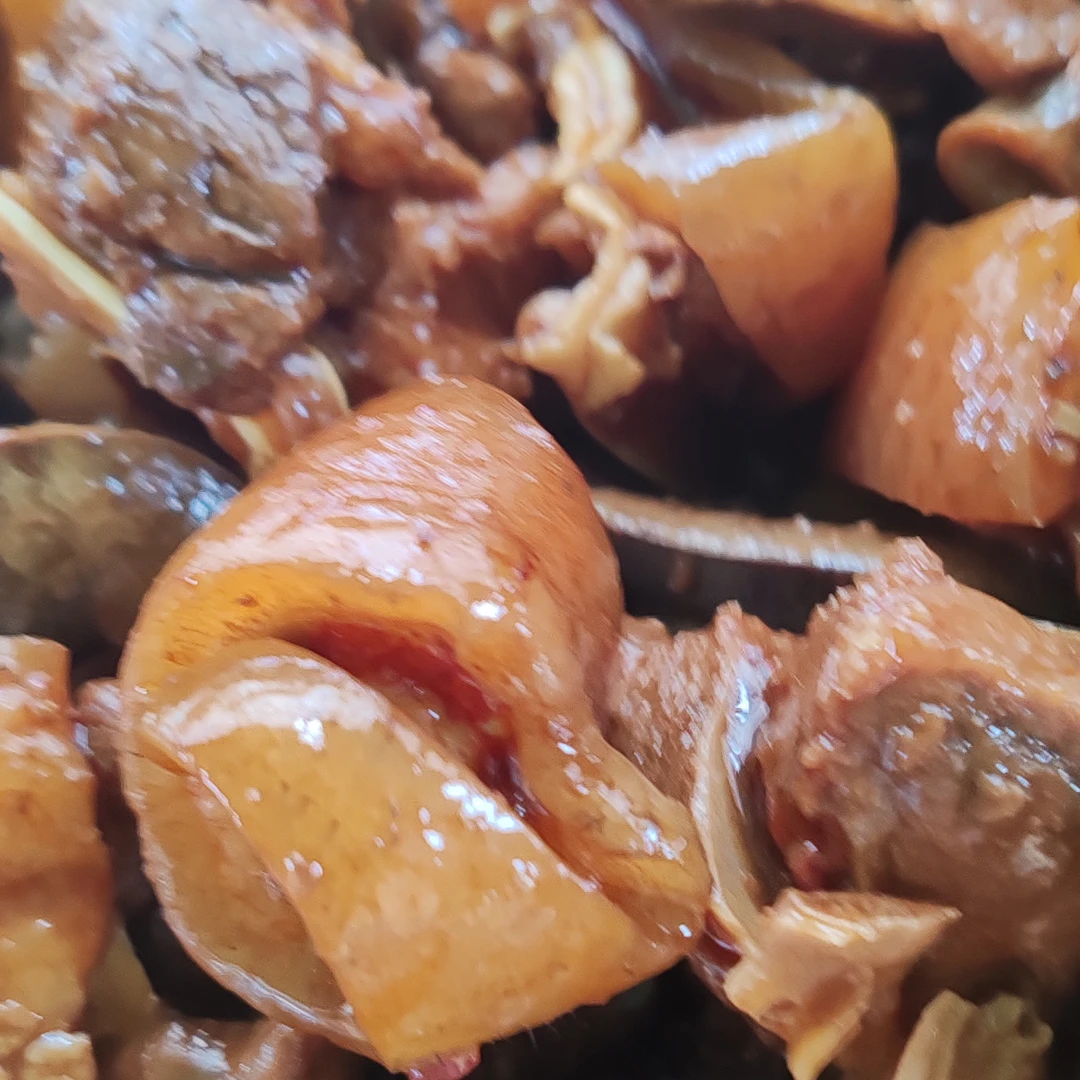 （藏香猪山焖全猪专拍链接）跑山猪香猪加热即食顺丰当天发货