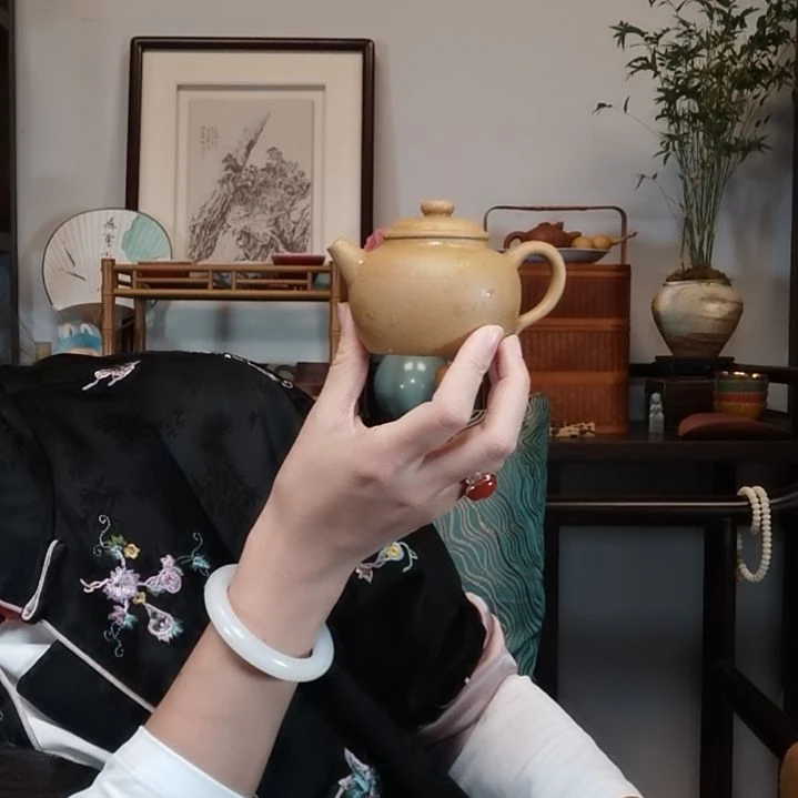 晴***帆紫砂茶壶大彬圈纽