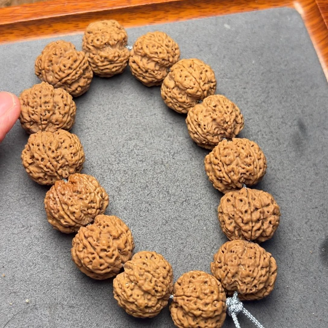 菩提35号尼泊尔大金刚22.5梅花