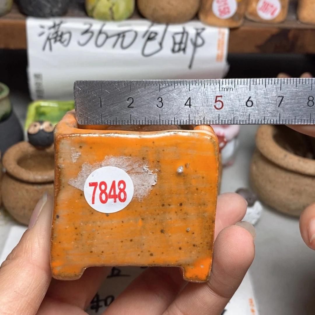 红陶拍5送一个小