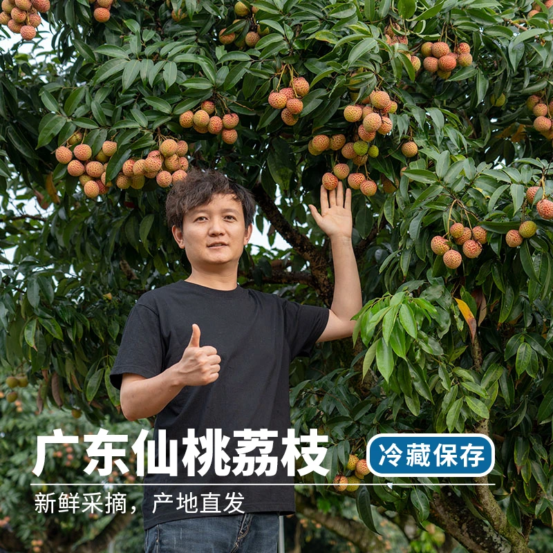 【现货】广东仙桃荔枝 当季新鲜 产地直发整箱 现摘现发应季
