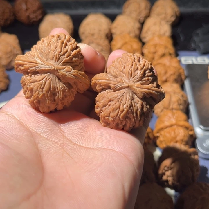 文玩核桃吊坠华坤龙42全品