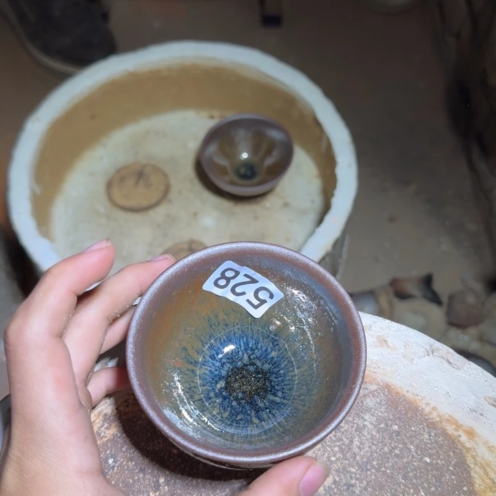 茶盏提出解决农村留守学生入学