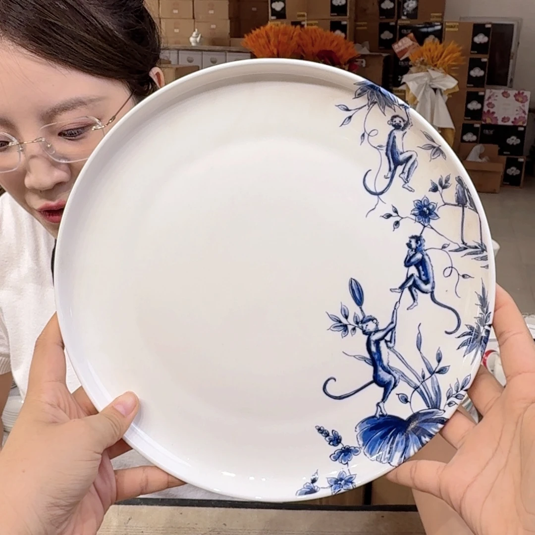骨瓷10.5英寸平盘27cm一个大盘