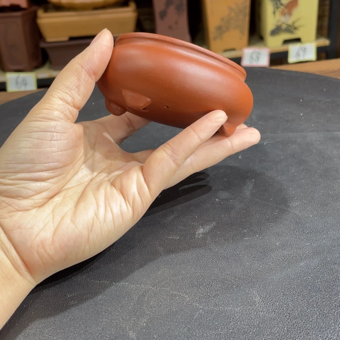 紫砂花盆在这条街