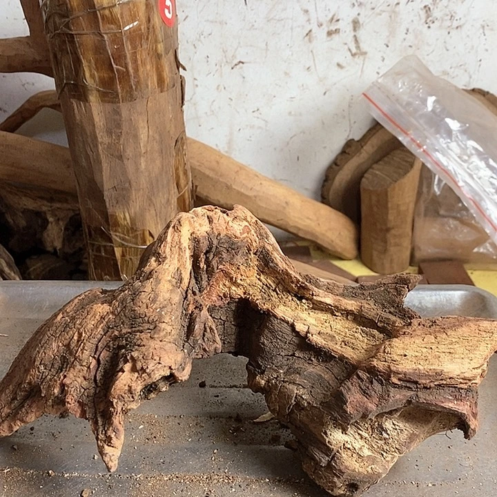 黄花梨/降香黄檀右**生