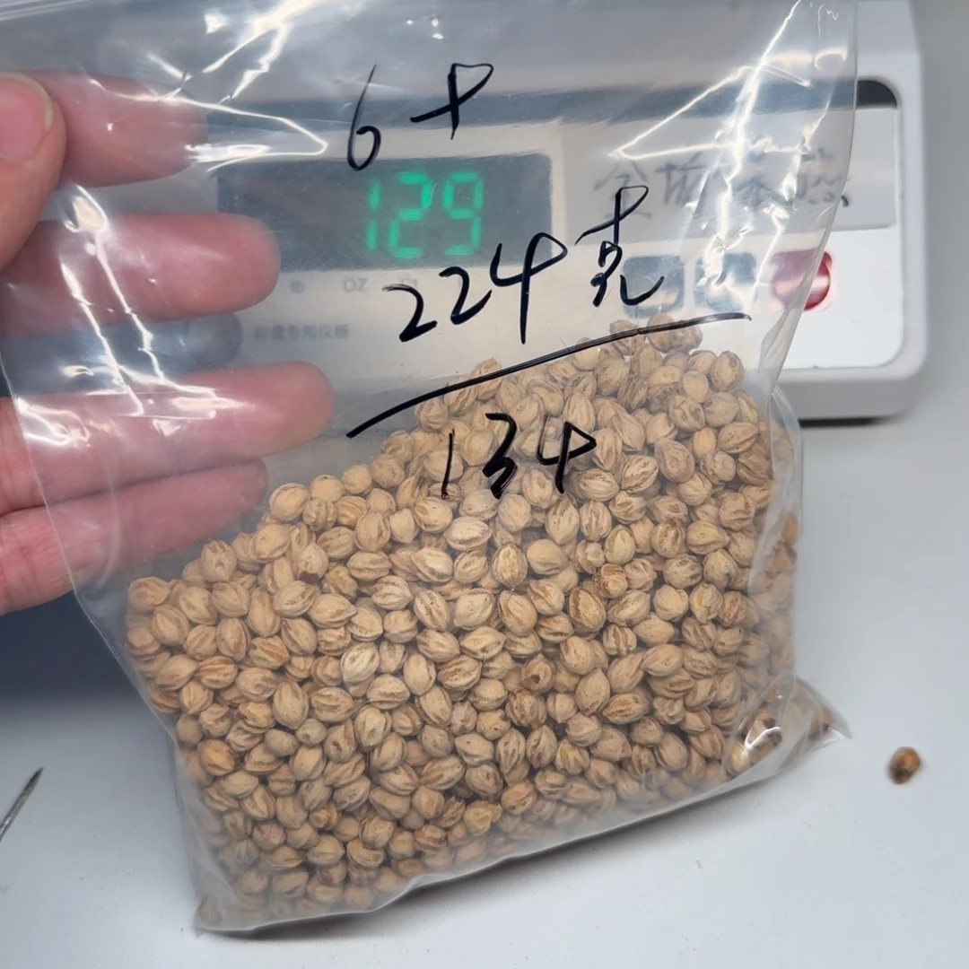 殺****吊坠柏香籽/百香籽