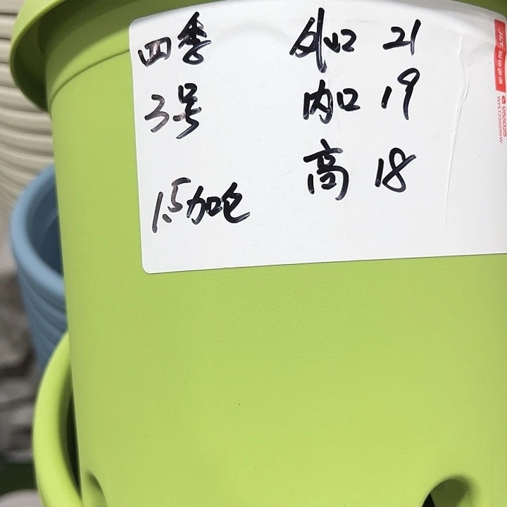 特价3号四季口21高18果绿无托10个