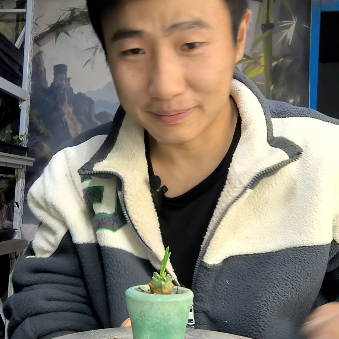 晚*এ中青园艺一物一拍126