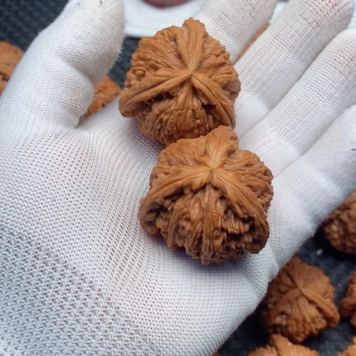 核桃手串/手链拼接白狮子