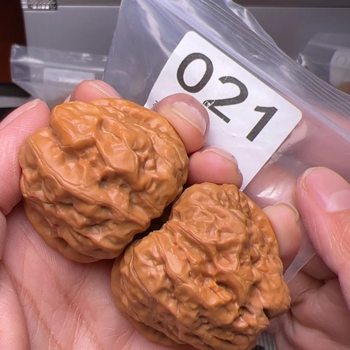 核桃边39肚42尺021号四开背