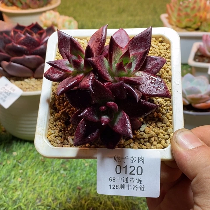 0120啊啊啊啊啊啊啊啊啊啊