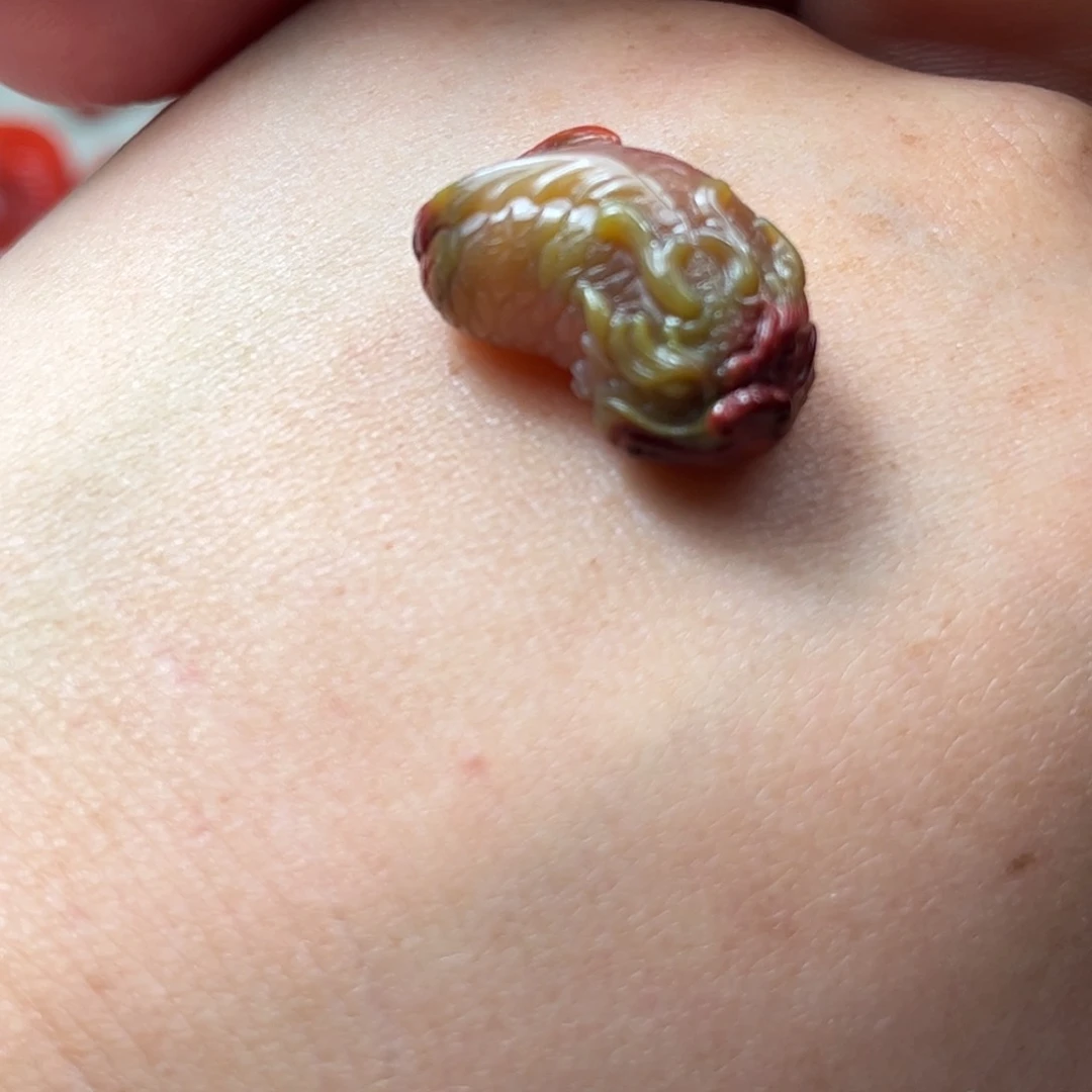 未镶嵌吊坠南红玛瑙