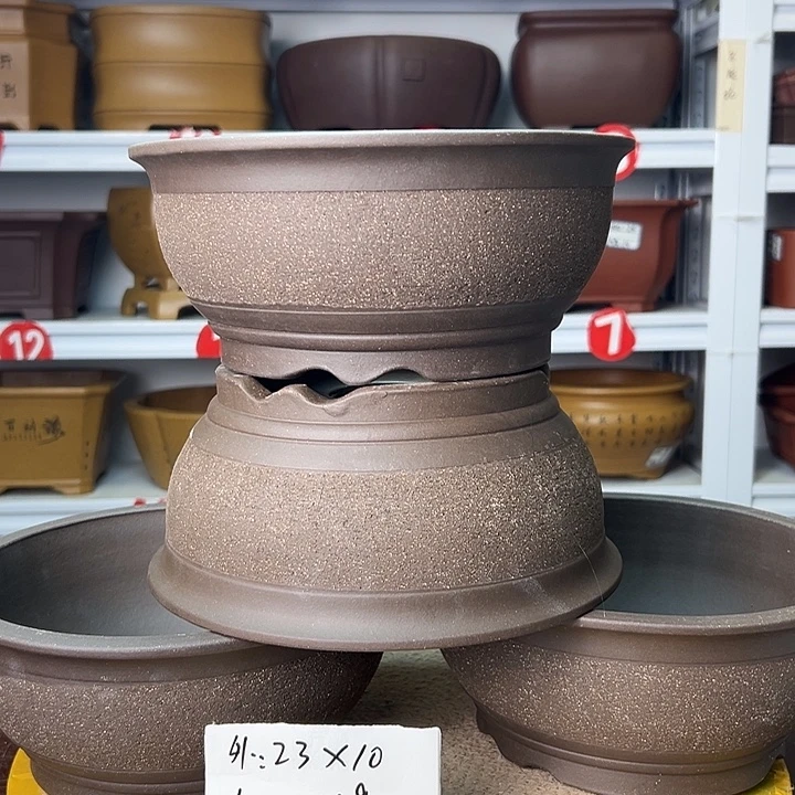 花盆紫砂蛇年大吉