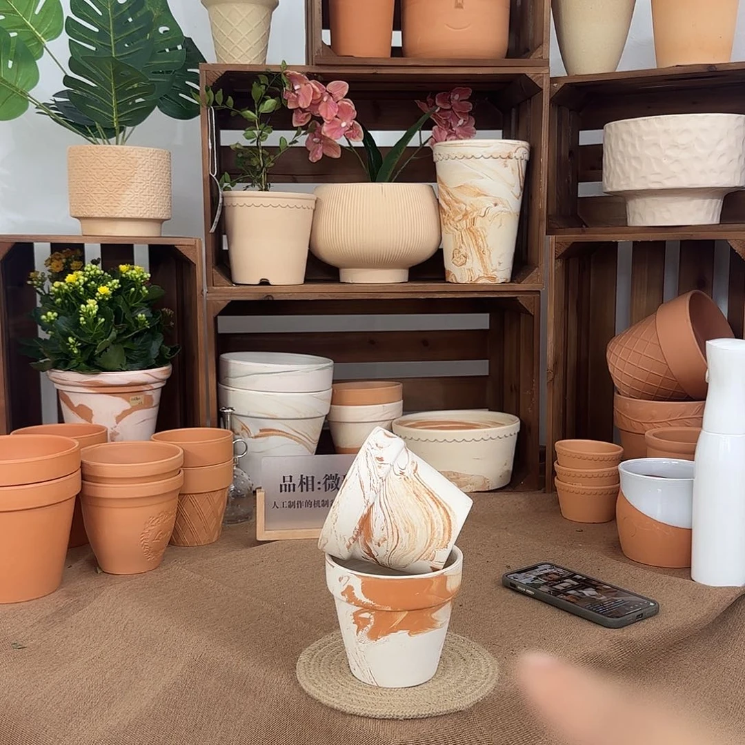 微瑕橘里橘气标准国际盆12口10高2个