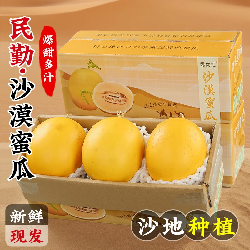 (京东/顺丰)【沙漠中的奇迹】甘肃民勤沙漠蜜瓜脆甜多汁产地现摘