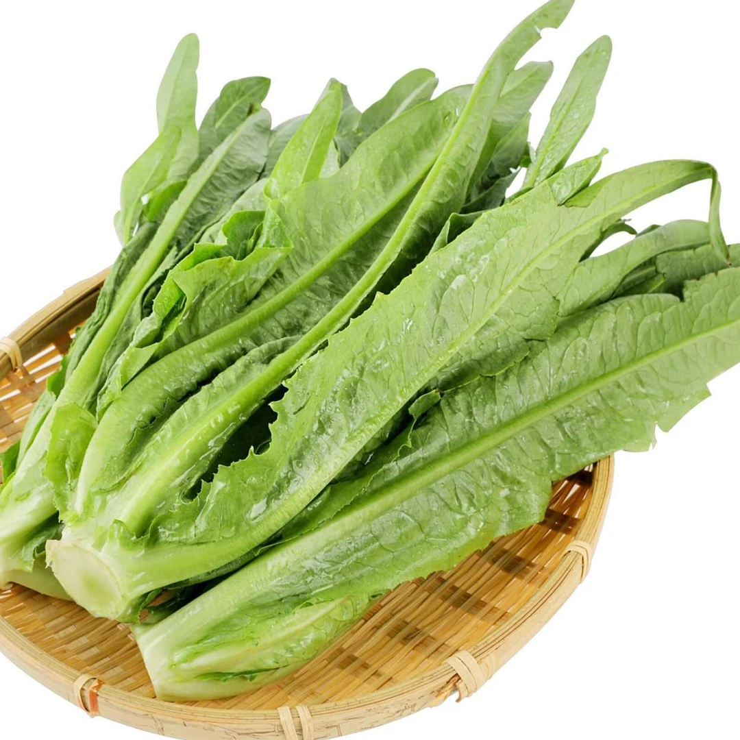 油麦菜 密云本地应季新鲜蔬菜 叶菜 3斤油麦菜