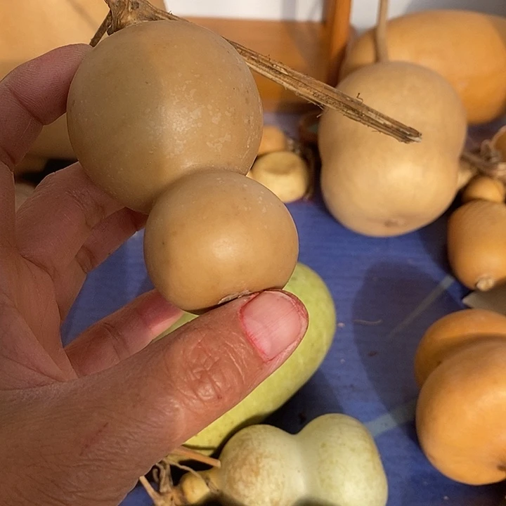 ****青皮葫芦手把件摆件