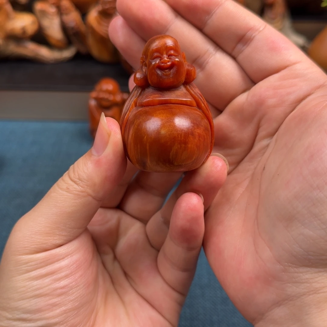 象***生柏木（崖柏）太行崖柏
