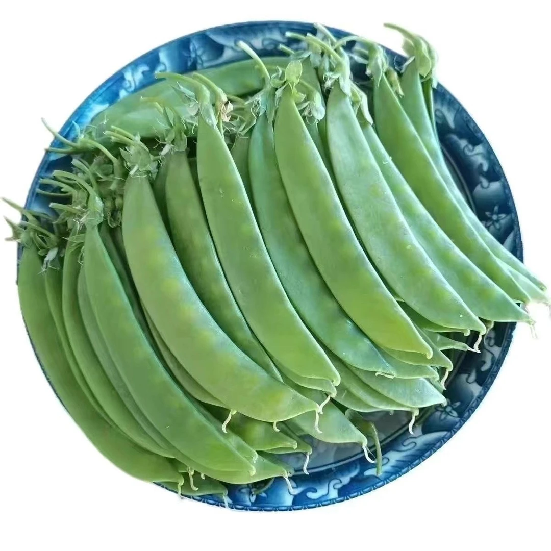 云南新鲜现摘甜脆荷兰豆荚豆嫩荚软荚豌豆带壳嫩豆角当季时令蔬菜
