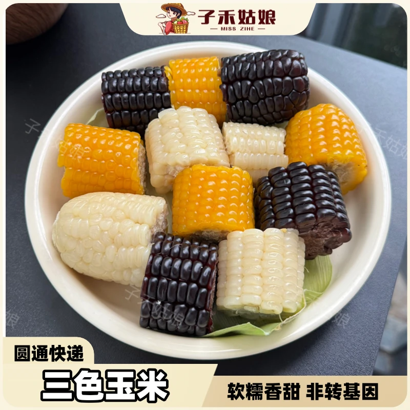 三色玉米·鲜玉米白糯黄糯黑糯玉米软糯香甜真空包装*8根