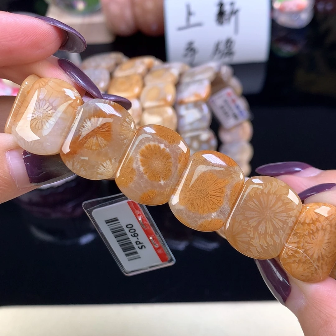【闪购商品】颈饰未镶嵌硅化珊瑚（珊瑚玉）上新手牌金糖大花（19号）