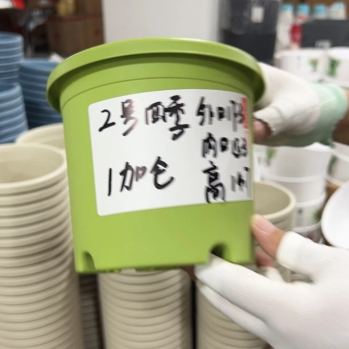 特价2号四季口17.3高14.7白色无托10只