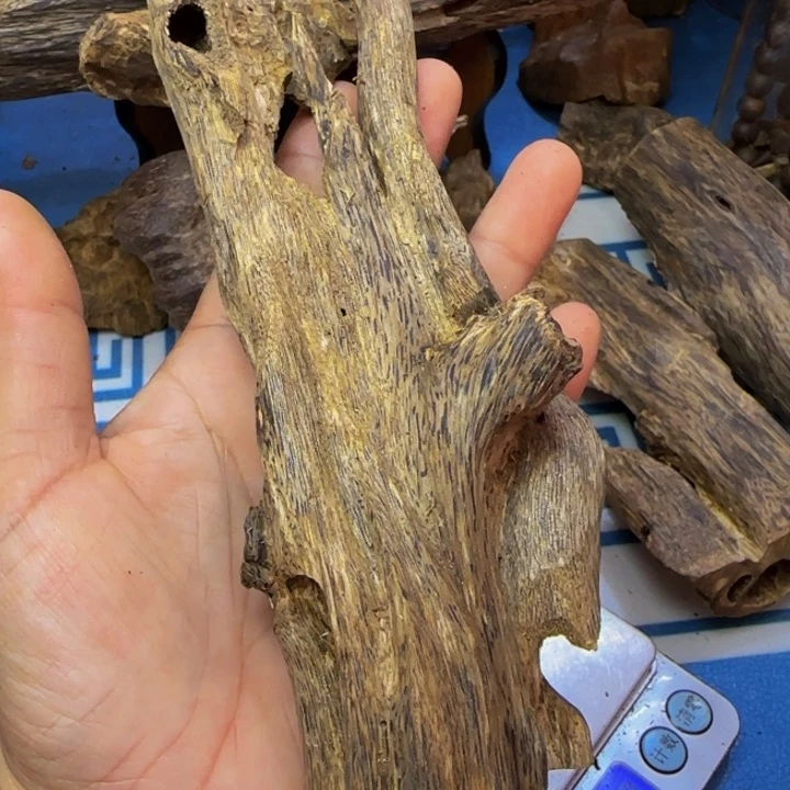 木紫奇树心虫漏74克
