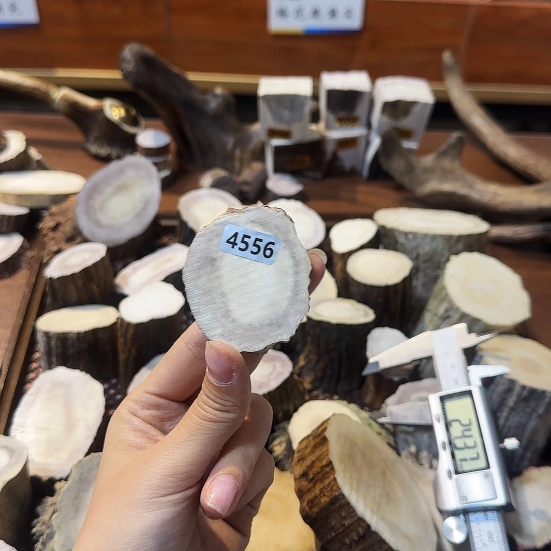 手串/手链鹿骨4556片