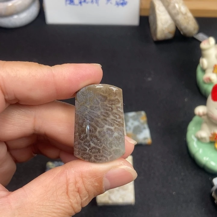 未镶嵌手链硅化珊瑚（珊瑚玉）