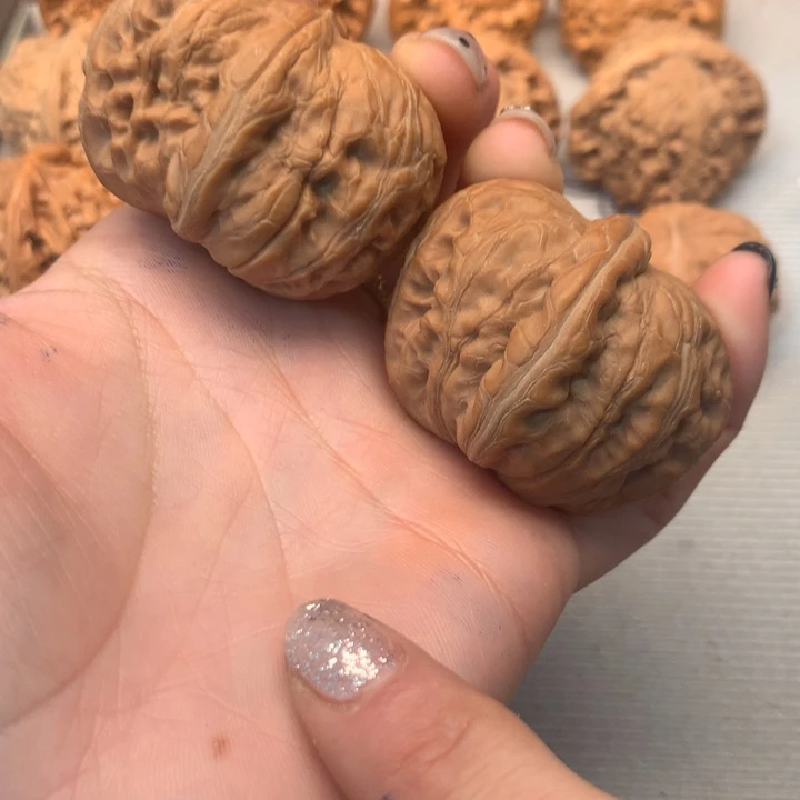 文玩核桃把件全品元宝46