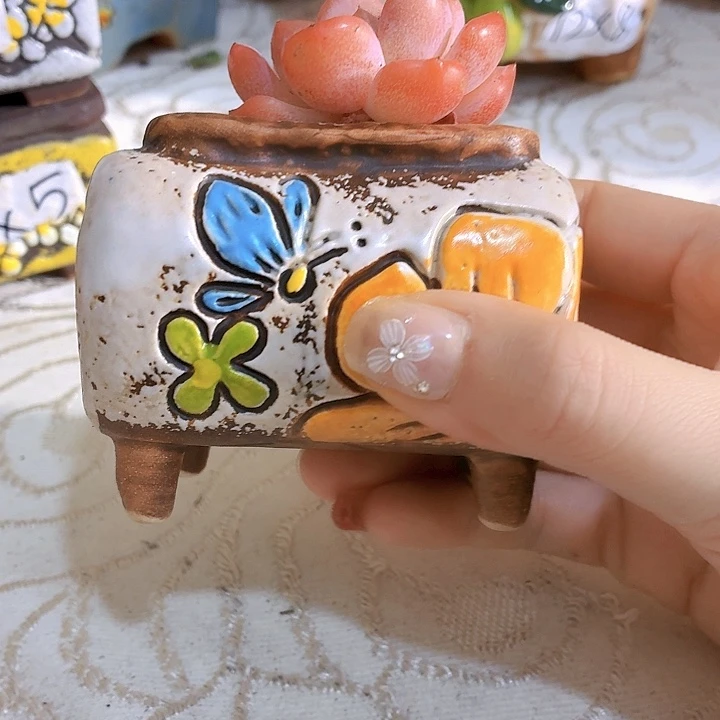 多肉花盆满15包邮