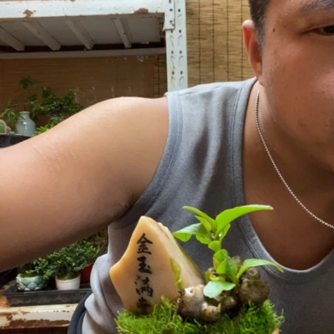 红陶王*桃一物一拍所见即所得113