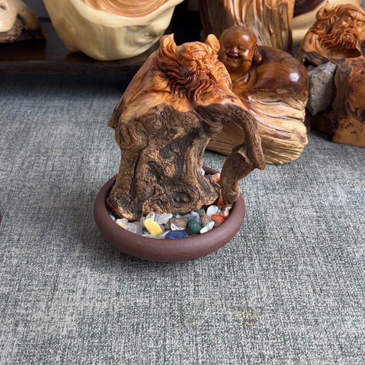 柏木（崖柏）关注一下
